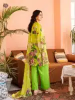 Pakistani three piece dress collection for women in Bangladesh by Rangdhonu