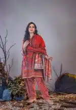 Pakistani three piece dress collection for women in Bangladesh by Rangdhonu